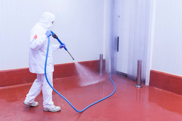 Best Paint Preparation  in Avonia, PA